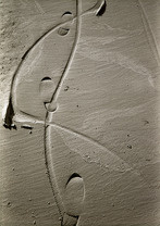 Plein-1984-63.jpg