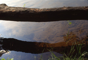 Fili-1991-34.jpg